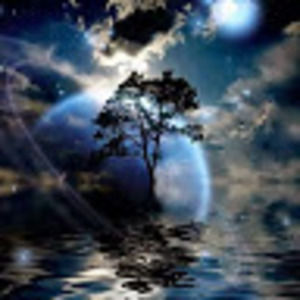 Meet your Posher, Antonio